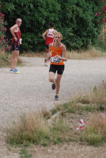 Solstizio d'estate ( C.E.)  (14/06/2015) 00063