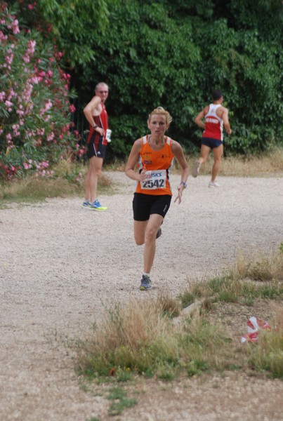 Solstizio d'estate ( C.E.)  (14/06/2015) 00064