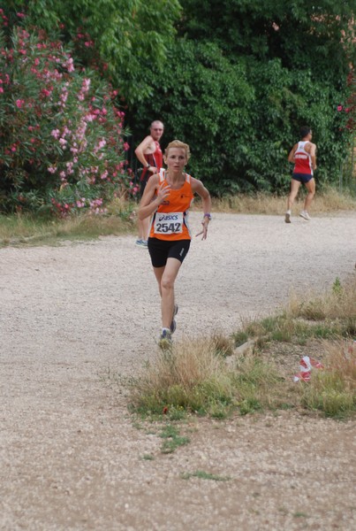 Solstizio d'estate ( C.E.)  (14/06/2015) 00065
