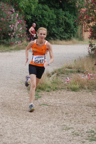 Solstizio d'estate ( C.E.)  (14/06/2015) 00068