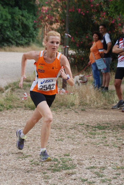 Solstizio d'estate ( C.E.)  (14/06/2015) 00069