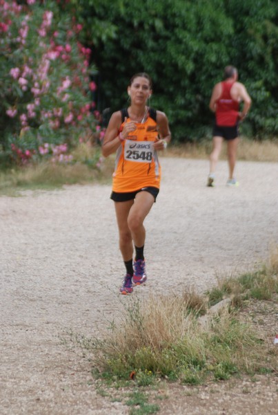 Solstizio d'estate ( C.E.)  (14/06/2015) 00071