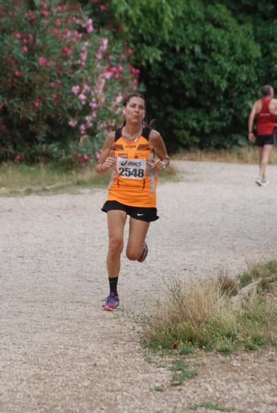 Solstizio d'estate ( C.E.)  (14/06/2015) 00072