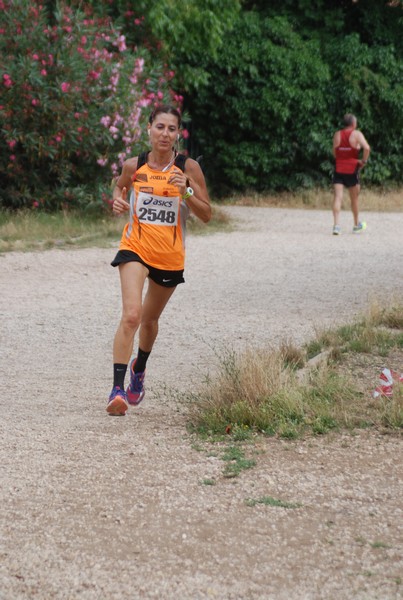 Solstizio d'estate ( C.E.)  (14/06/2015) 00073