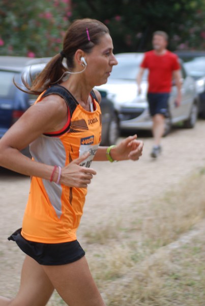 Solstizio d'estate ( C.E.)  (14/06/2015) 00078