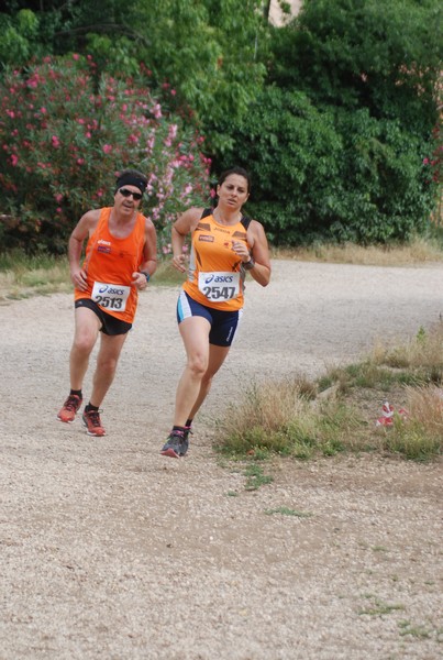 Solstizio d'estate ( C.E.)  (14/06/2015) 00079
