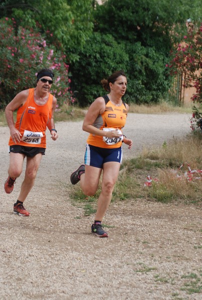 Solstizio d'estate ( C.E.)  (14/06/2015) 00080