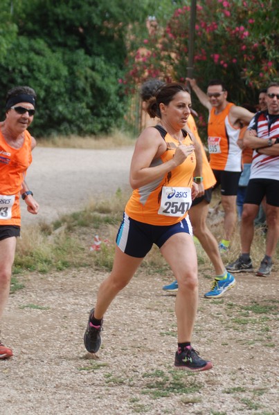 Solstizio d'estate ( C.E.)  (14/06/2015) 00081