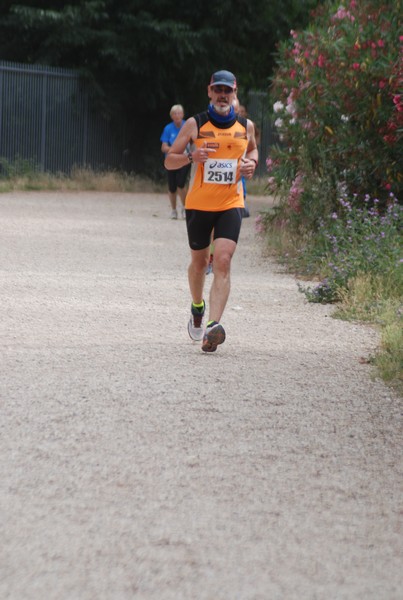 Solstizio d'estate ( C.E.)  (14/06/2015) 00087