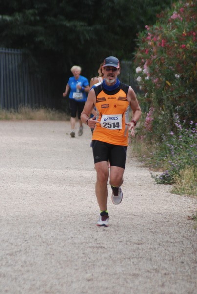 Solstizio d'estate ( C.E.)  (14/06/2015) 00088