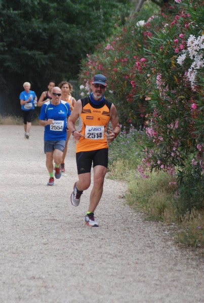 Solstizio d'estate ( C.E.)  (14/06/2015) 00090