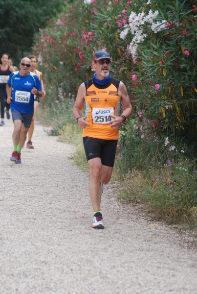 Solstizio d'estate ( C.E.)  (14/06/2015) 00092