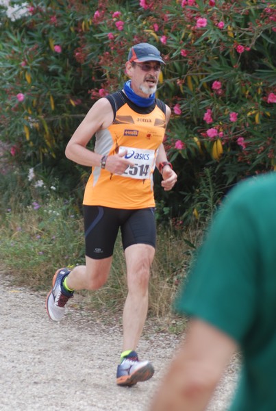Solstizio d'estate ( C.E.)  (14/06/2015) 00094