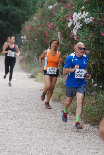 Solstizio d'estate ( C.E.)  (14/06/2015) 00095