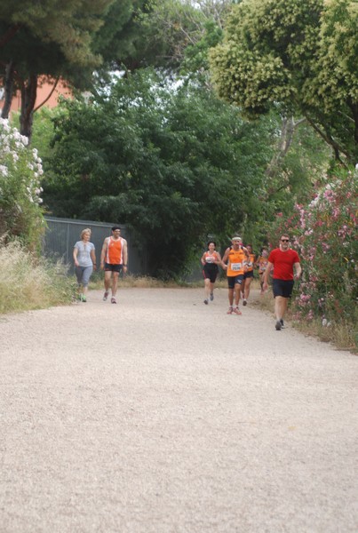 Solstizio d'estate ( C.E.)  (14/06/2015) 00097