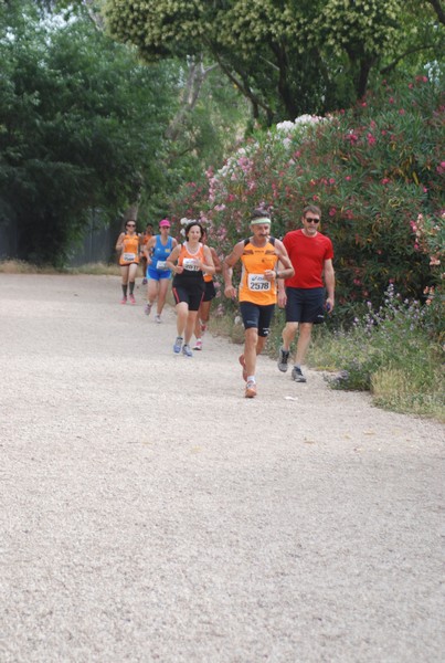 Solstizio d'estate ( C.E.)  (14/06/2015) 00100