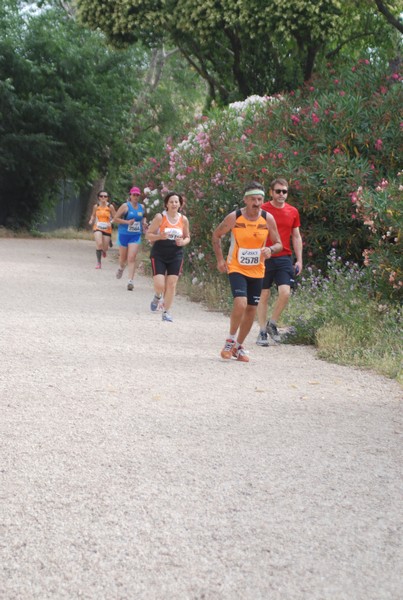 Solstizio d'estate ( C.E.)  (14/06/2015) 00101