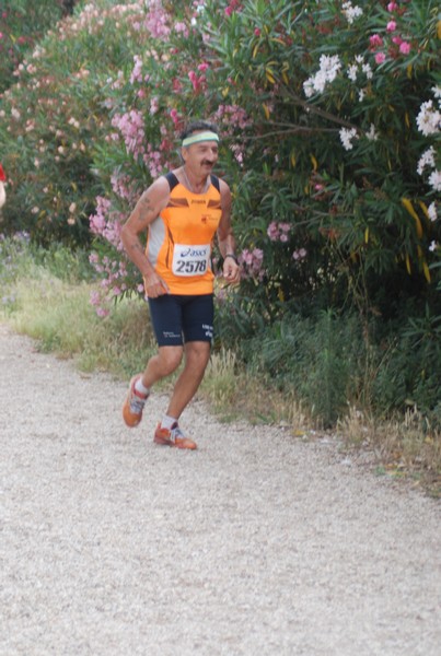 Solstizio d'estate ( C.E.)  (14/06/2015) 00106