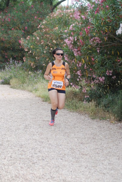 Solstizio d'estate ( C.E.)  (14/06/2015) 00108