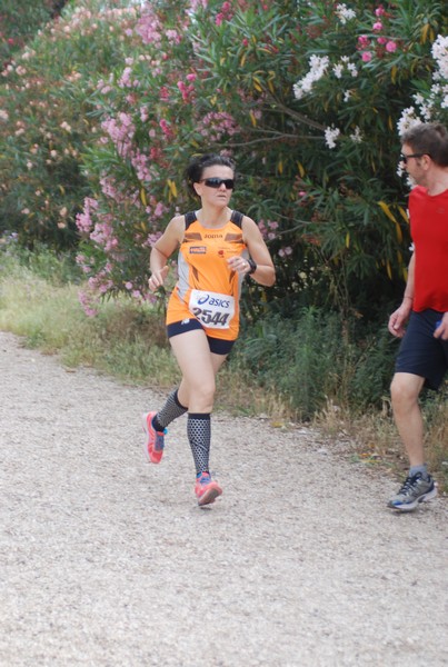 Solstizio d'estate ( C.E.)  (14/06/2015) 00109