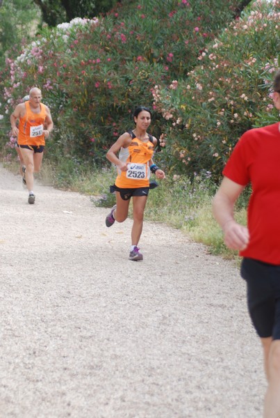 Solstizio d'estate ( C.E.)  (14/06/2015) 00111