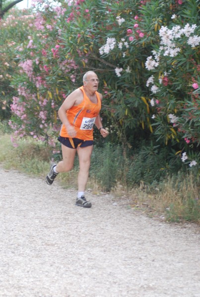 Solstizio d'estate ( C.E.)  (14/06/2015) 00112