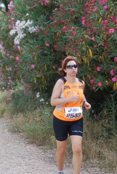 Solstizio d'estate ( C.E.)  (14/06/2015) 00122