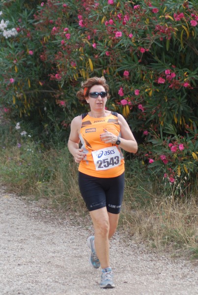 Solstizio d'estate ( C.E.)  (14/06/2015) 00123