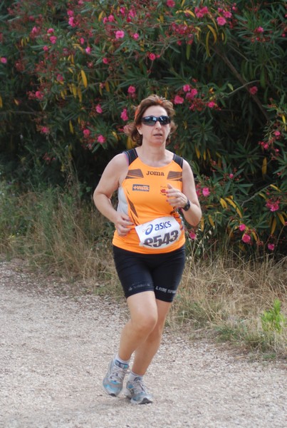 Solstizio d'estate ( C.E.)  (14/06/2015) 00124