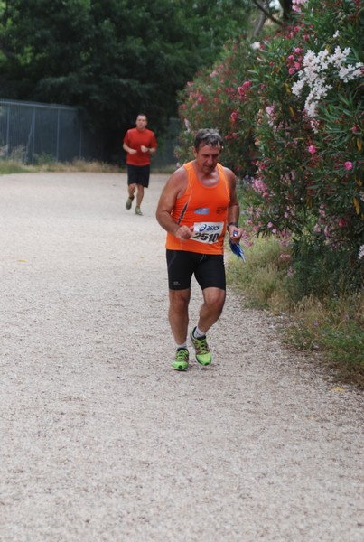 Solstizio d'estate ( C.E.)  (14/06/2015) 00128