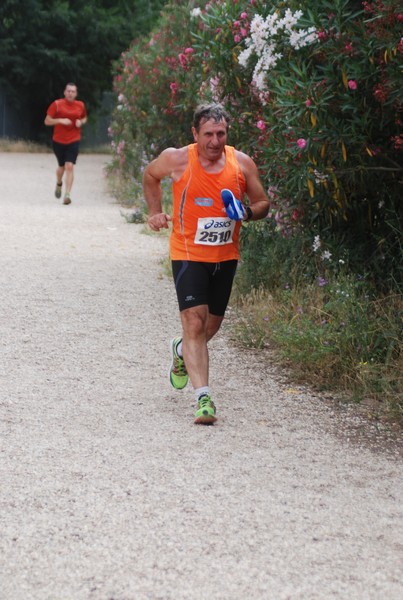 Solstizio d'estate ( C.E.)  (14/06/2015) 00129