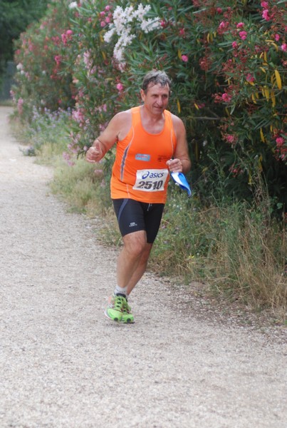 Solstizio d'estate ( C.E.)  (14/06/2015) 00130