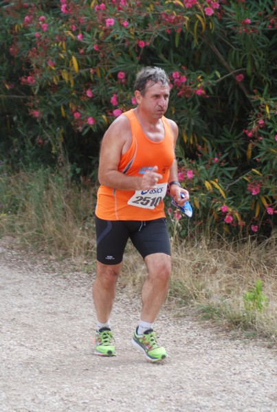 Solstizio d'estate ( C.E.)  (14/06/2015) 00132