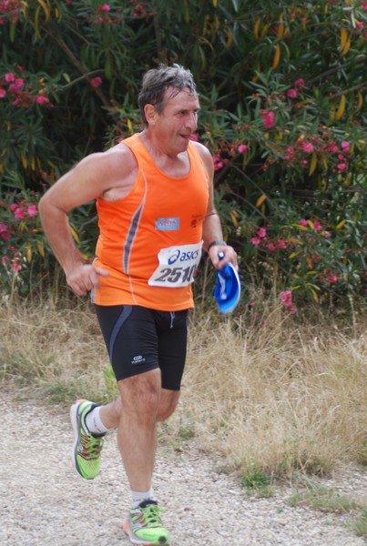 Solstizio d'estate ( C.E.)  (14/06/2015) 00133