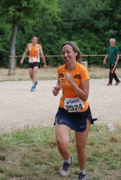 Solstizio d'estate ( C.E.)  (14/06/2015) 00138