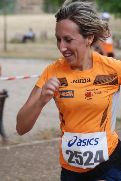 Solstizio d'estate ( C.E.)  (14/06/2015) 00140