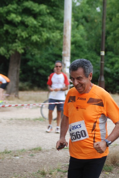 Solstizio d'estate ( C.E.)  (14/06/2015) 00141