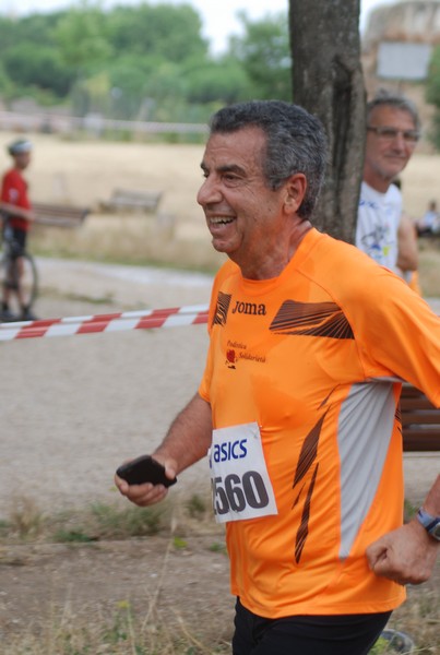Solstizio d'estate ( C.E.)  (14/06/2015) 00143