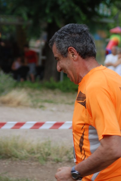 Solstizio d'estate ( C.E.)  (14/06/2015) 00144