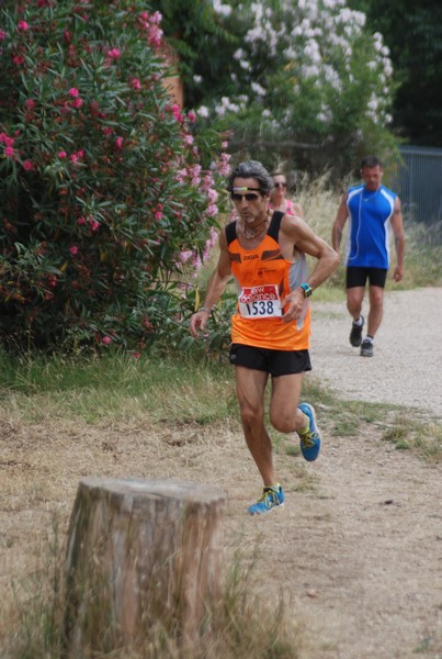 Solstizio d'estate ( C.E.)  (14/06/2015) 00013