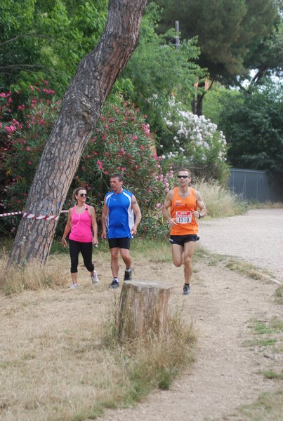 Solstizio d'estate ( C.E.)  (14/06/2015) 00021