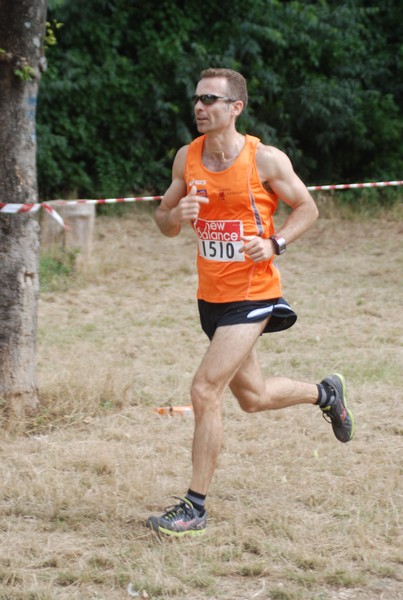 Solstizio d'estate ( C.E.)  (14/06/2015) 00026
