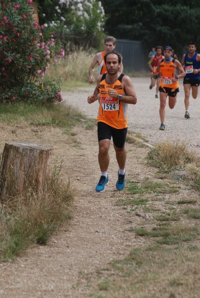 Solstizio d'estate ( C.E.)  (14/06/2015) 00029