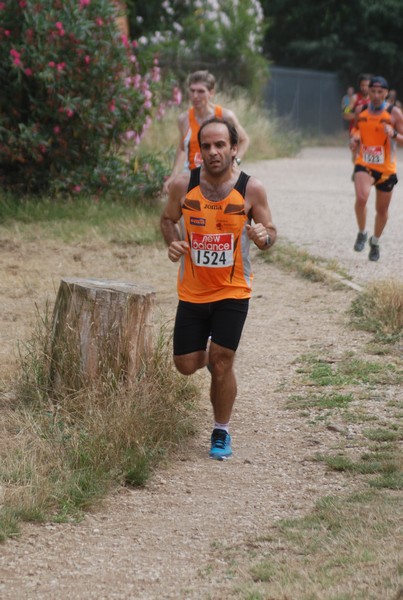 Solstizio d'estate ( C.E.)  (14/06/2015) 00030