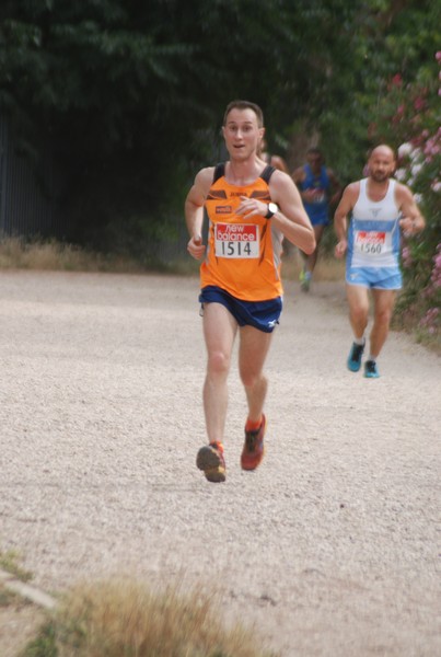 Solstizio d'estate ( C.E.)  (14/06/2015) 00037