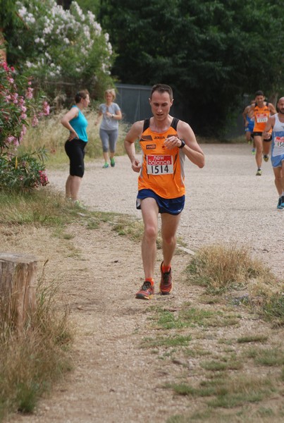 Solstizio d'estate ( C.E.)  (14/06/2015) 00038
