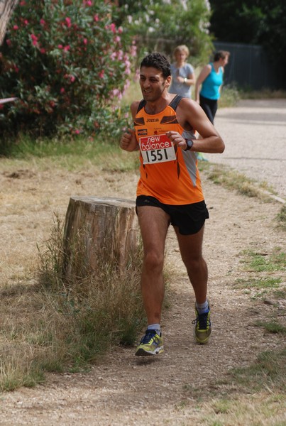 Solstizio d'estate ( C.E.)  (14/06/2015) 00045