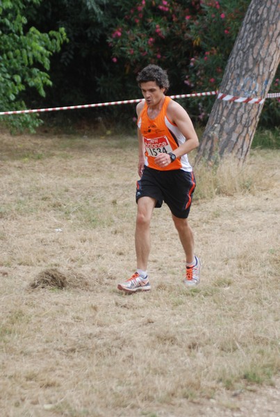 Solstizio d'estate ( C.E.)  (14/06/2015) 00055