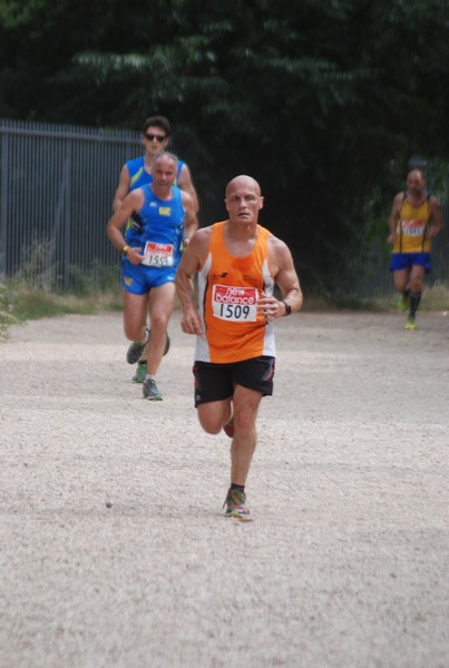 Solstizio d'estate ( C.E.)  (14/06/2015) 00061