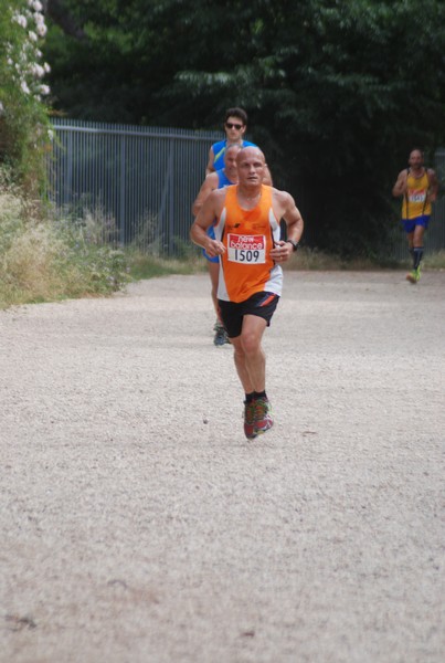 Solstizio d'estate ( C.E.)  (14/06/2015) 00062